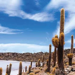 Treatments® Mailbox Body & Fragrance Uyuni